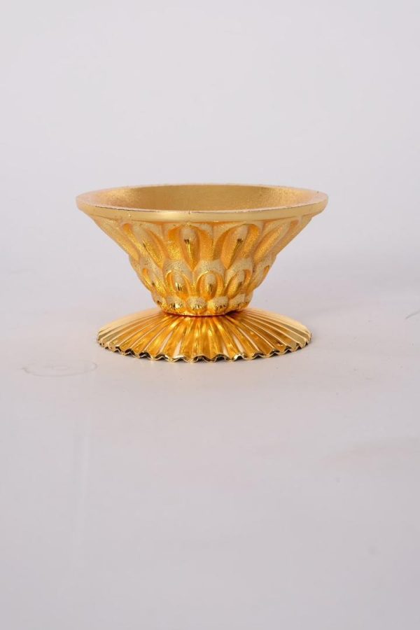 WhatsApp Image 2024 02 27 at 3.30.24 PM