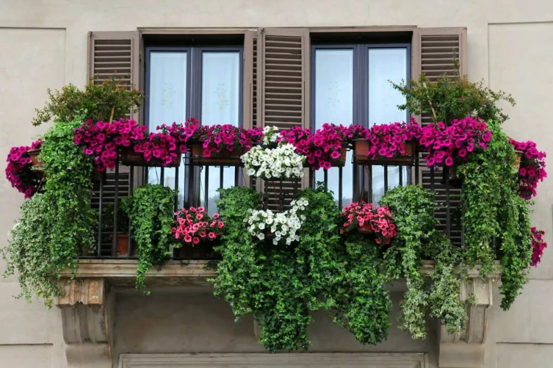 گیاهان و باغچه‌های کوچک برای دکور بالکن کوچک